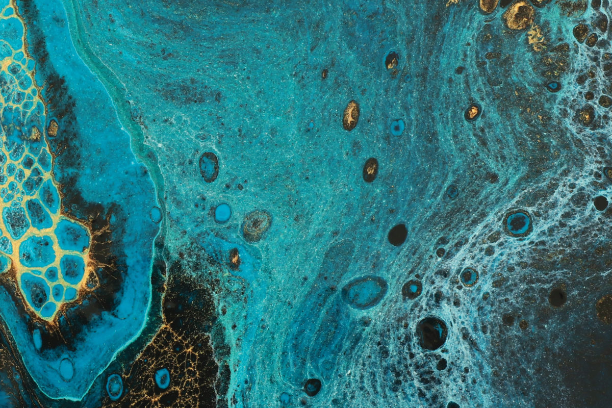 Slide Image